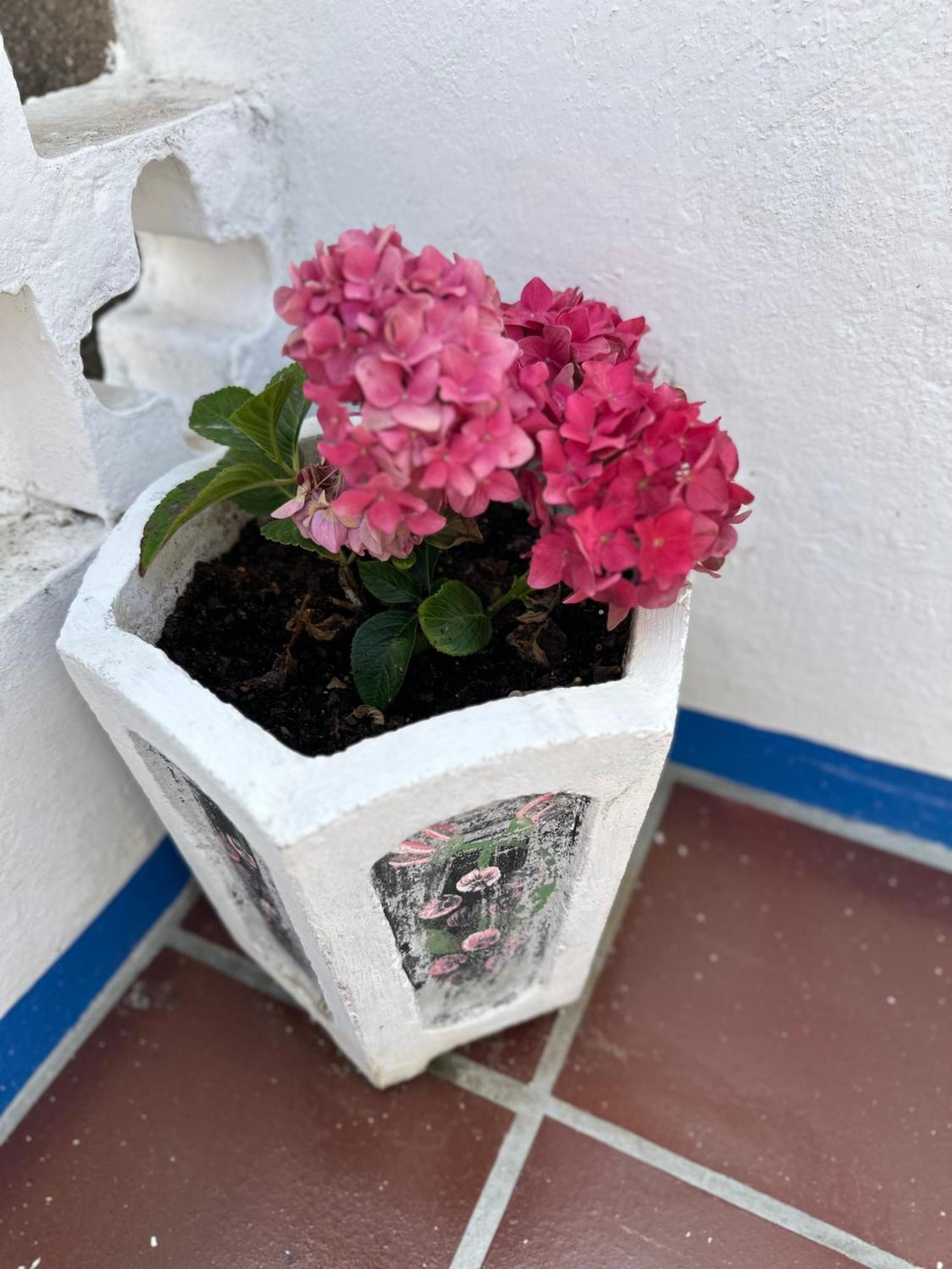 לינה וארוחת בוקר אובידוס Casa Do Poco מראה חיצוני תמונה
