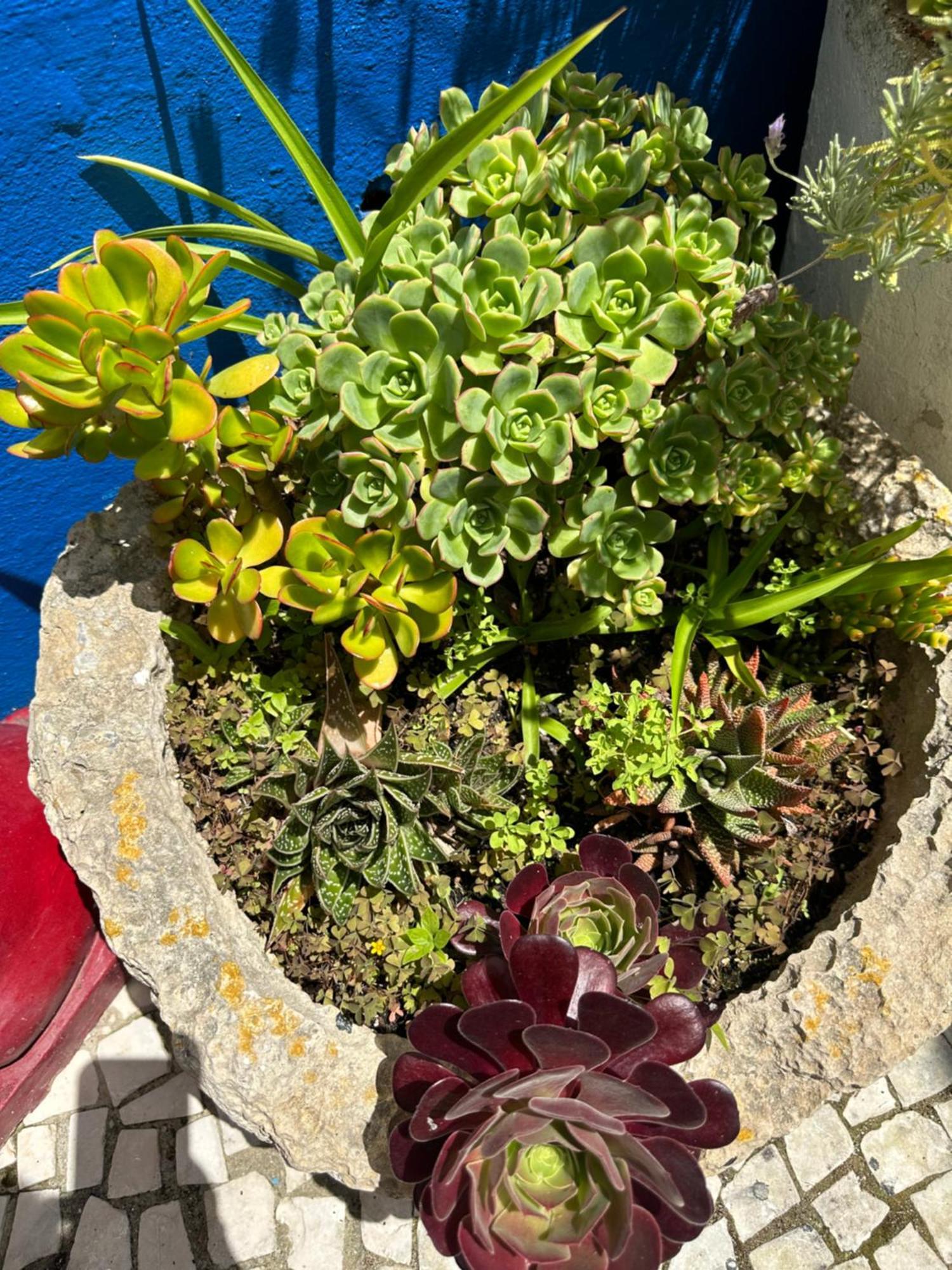 לינה וארוחת בוקר אובידוס Casa Do Poco מראה חיצוני תמונה