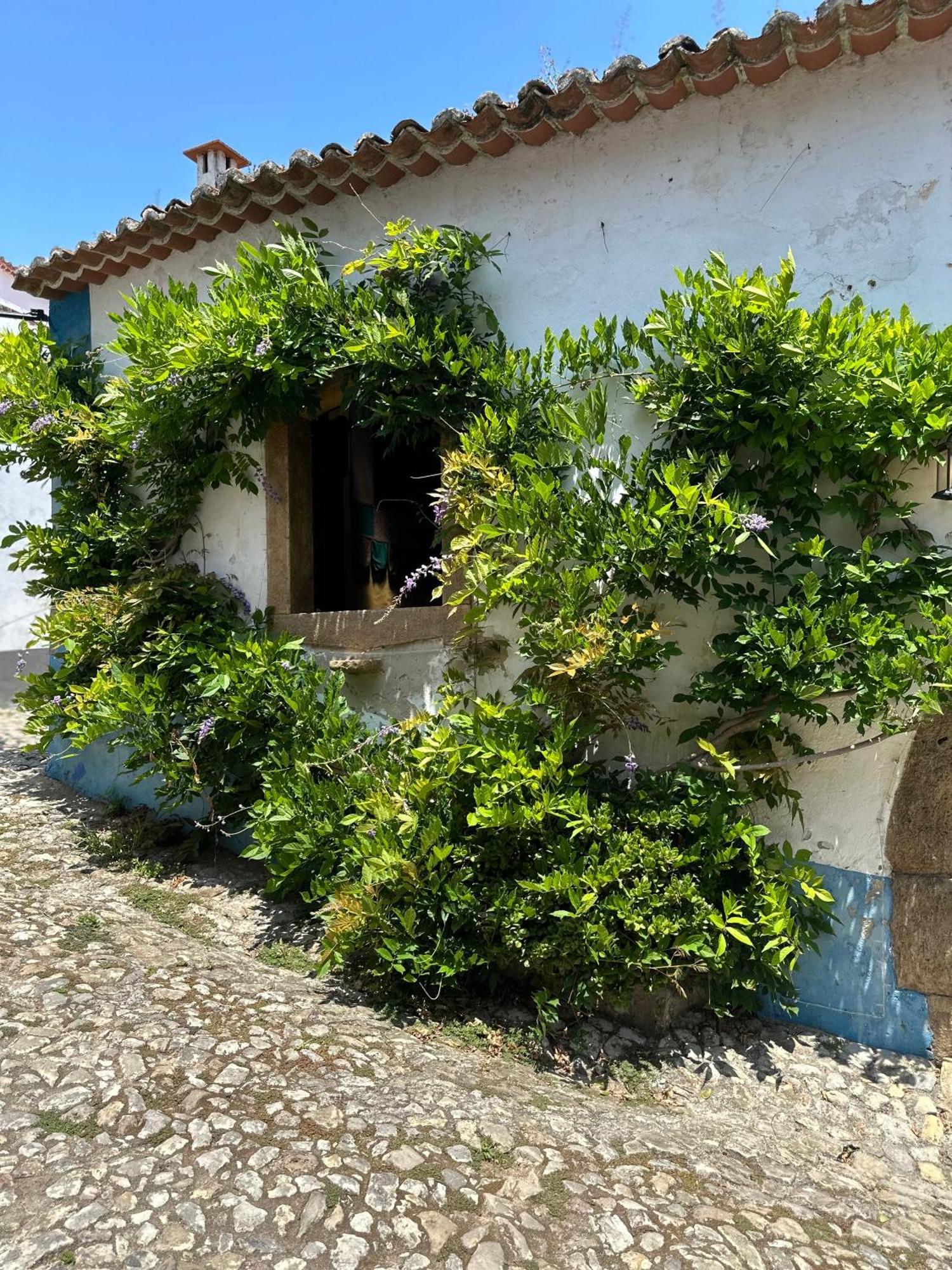 לינה וארוחת בוקר אובידוס Casa Do Poco מראה חיצוני תמונה